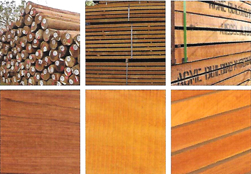 Far East Timber